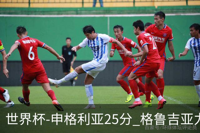 世界杯-申格利亚25分 格鲁吉亚力克委内瑞拉