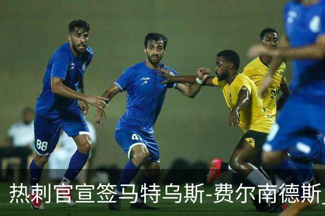 热刺官宣签马特乌斯-费尔南德斯 转会费8500万镑破纪录